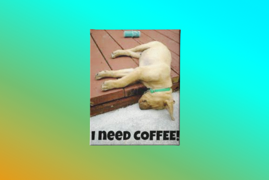 I NEED COFFEE CANVAS PRINT