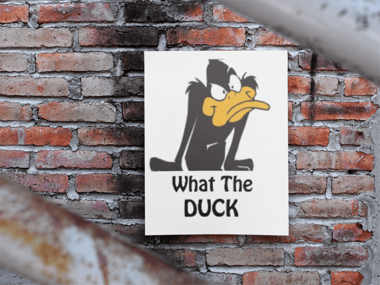 WHAT THE DUCK